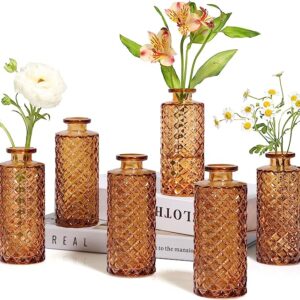 ComSaf Glass Bud Vases Set of 6