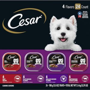 CESAR Adult Wet Dog Food